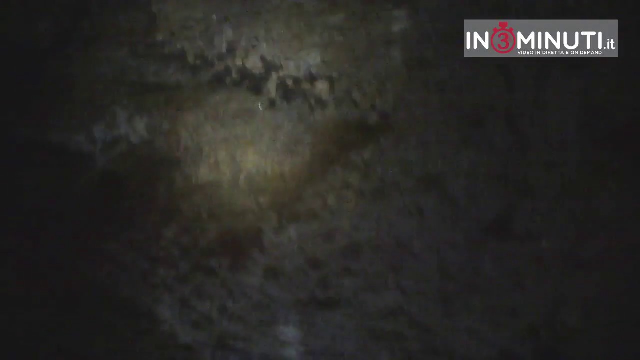 Dentro un pozzo di circa 30 mt a Santa Elisabetta