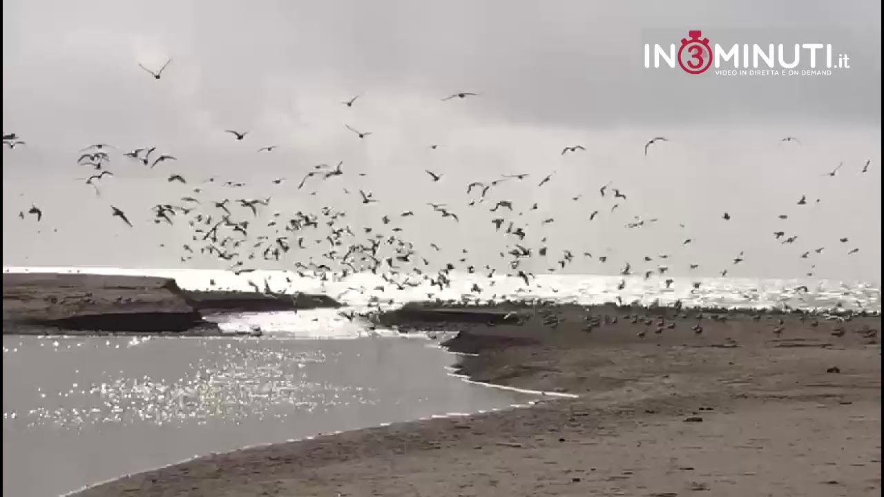 foce del fiume platani di Maurizio Timineri