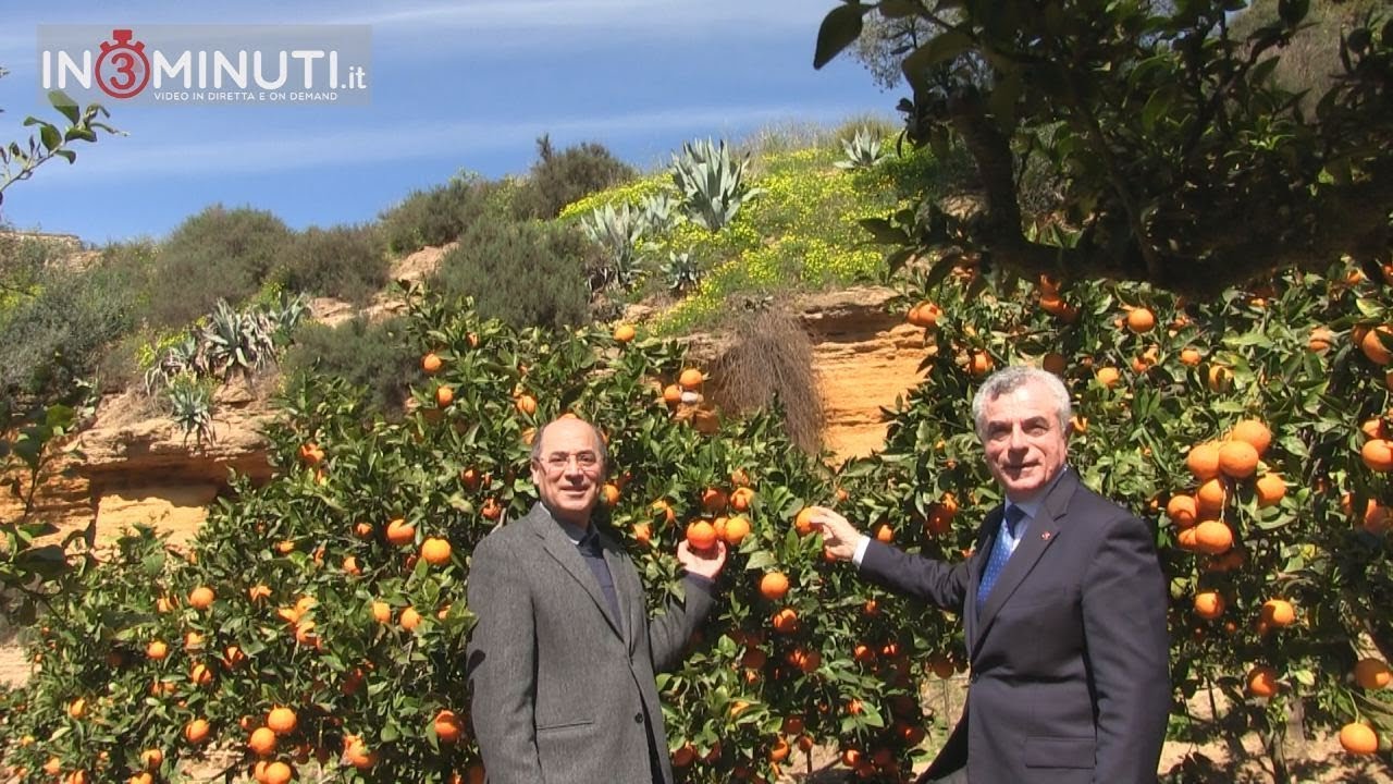 Turismo culturale: il contributo del FAI.  Giuseppe Lo Pilato direttore Kolymbethra