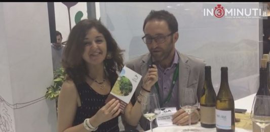 Roberta Zicari, Tommaso Stellino