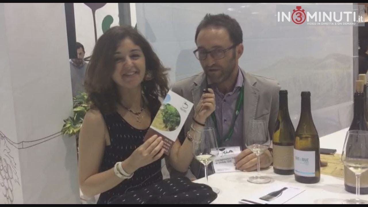 Speciale Vinitaly 2018 n.2: La Cia-Agricoltori Italiani ha offerto alle giovani aziende Vitivinicole la possibilità di partecipare.