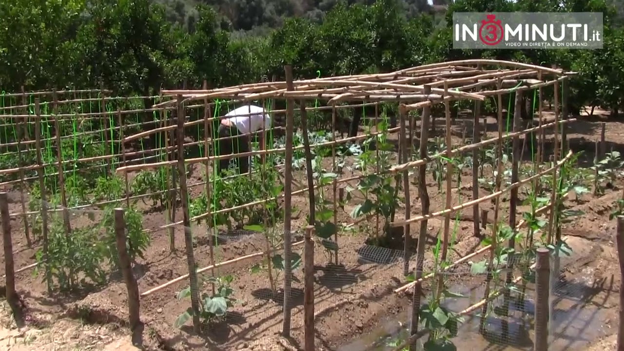 kolymbethra: l’irrigazione dell’orto con l’antico sistema irrigazione arabo