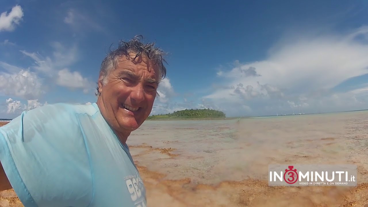 Nei MARI DEL SUD con Vittorio Zunardi. Raiatea, Suwarrow, Bora Bora, Tonga, Fiji….