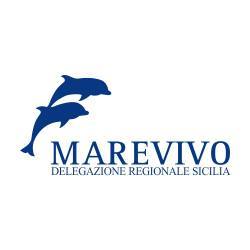 MAREVIVO CHIEDE ALLE SCUOLE DI ADERIRE ALL’APPELLO #STOPSINGLEUSEPLASTIC