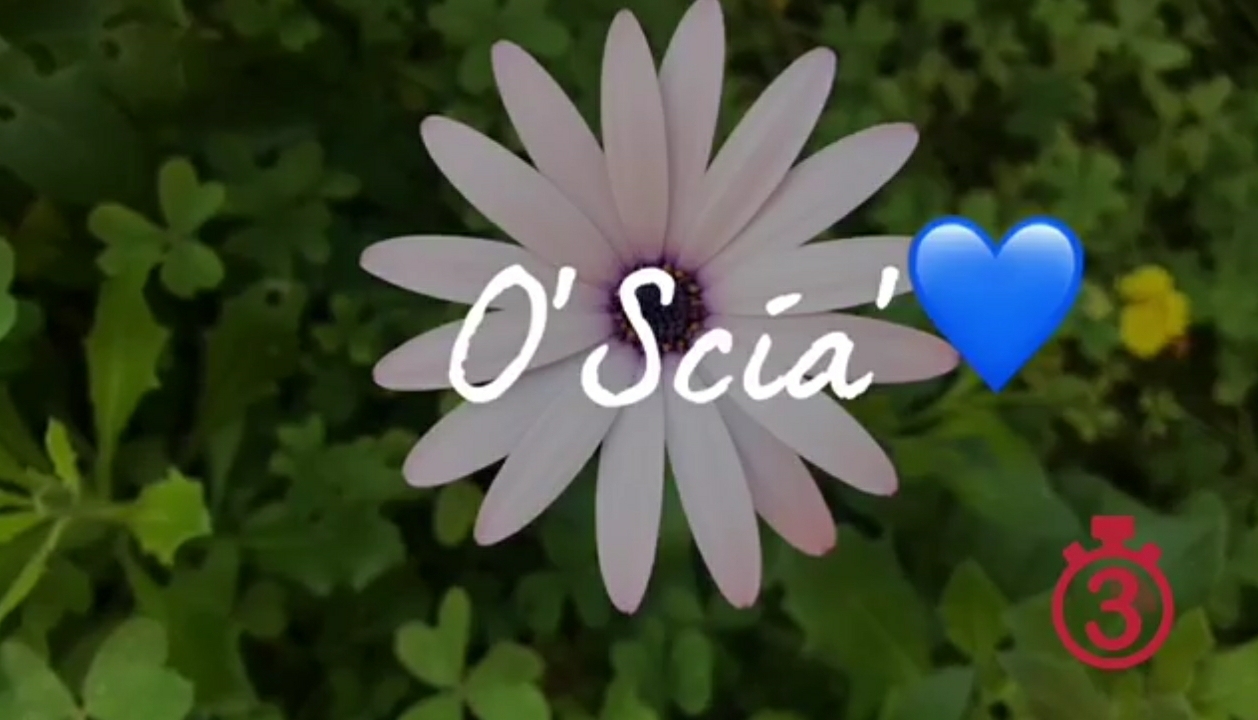 O’ Scia’, di M Rita Savitteri 🎥video