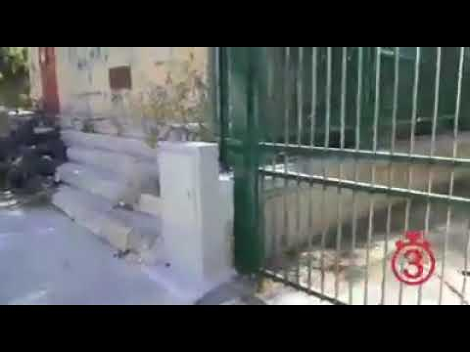 Nessuna parola, basta  il video