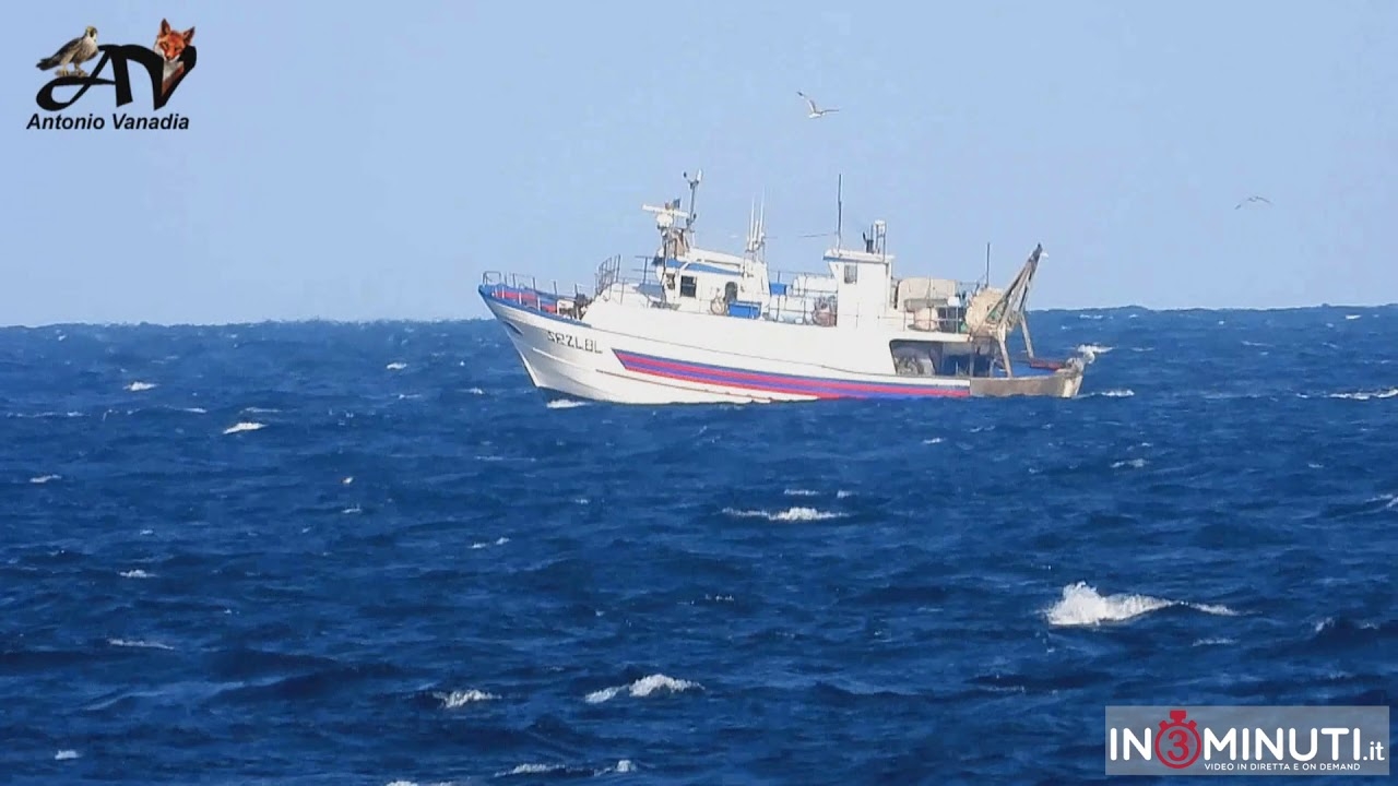 Su un promontorio di roccia bianca, si erge il Faro di Capo S  Croce…di Antonio Vanadia