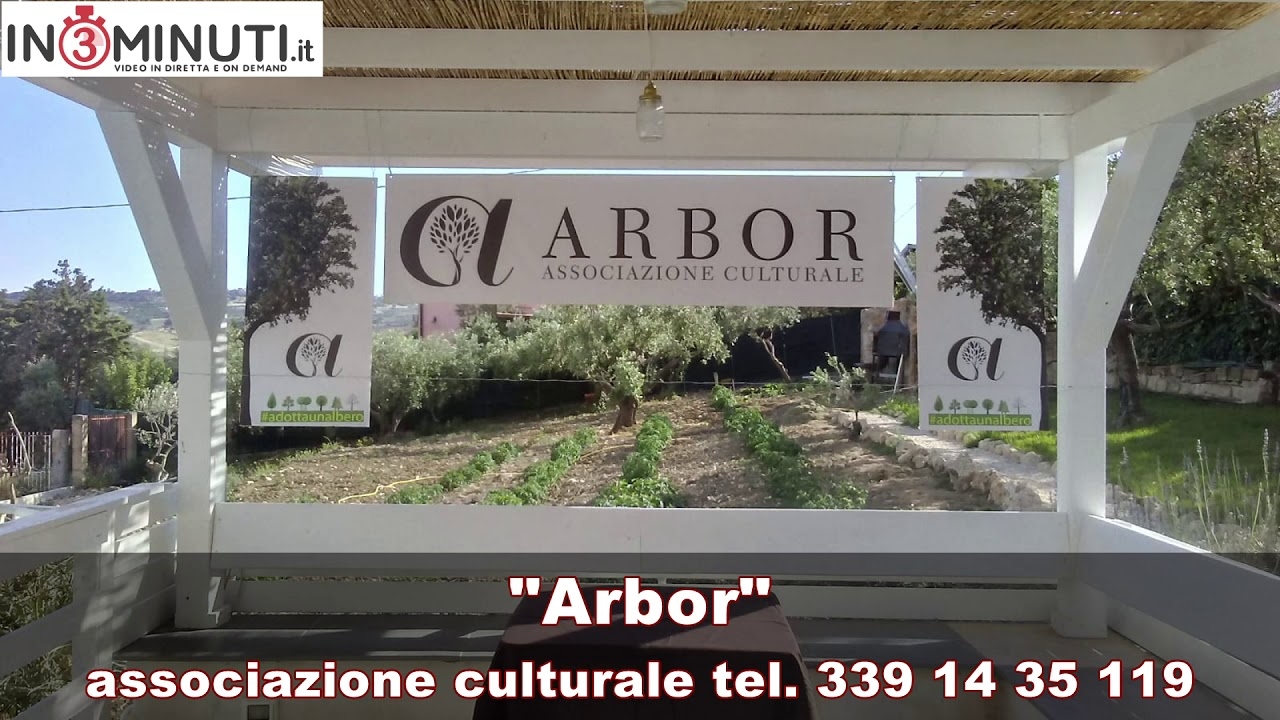 “Arbor” crea nuovi boschi, ascoltiamo il presidente Vincenzo Alonge