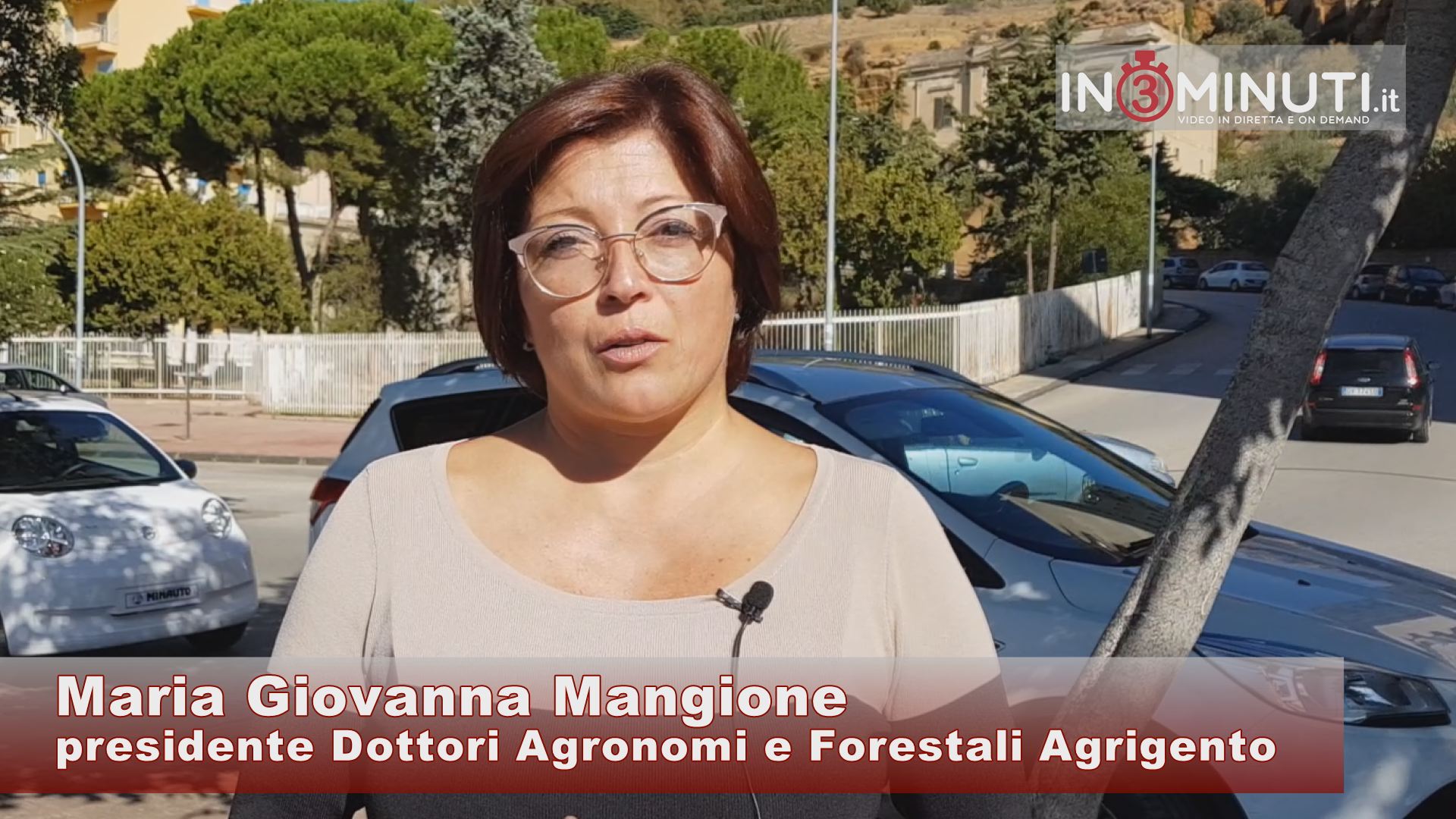 📹VIDEO Alberi tagliati ad Agrigento, ascoltiamo Maria Giovanna Mangione presidente Agronomi Agrigento