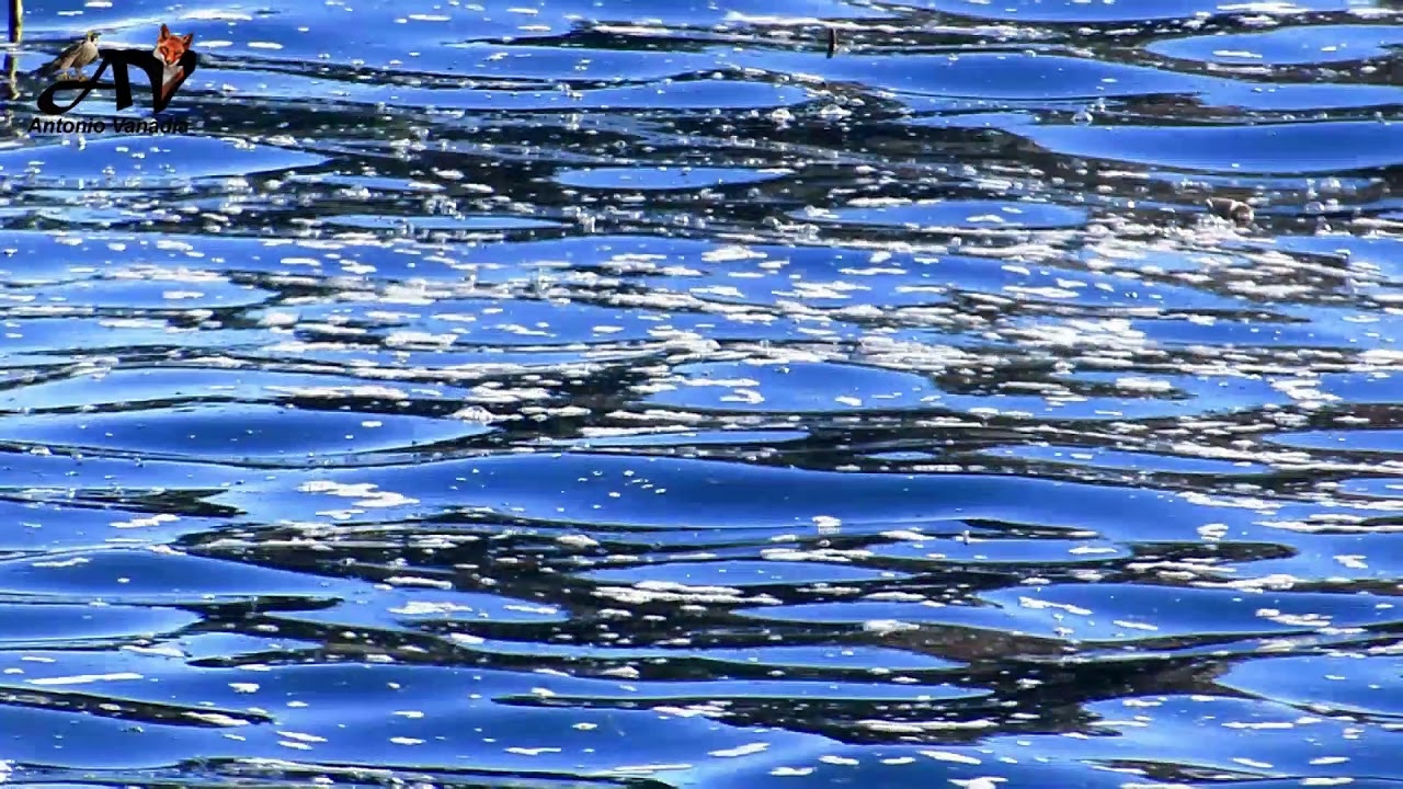 Il mare di Aci Castello e Acitrezza di Antonio Vanadia 🎥video