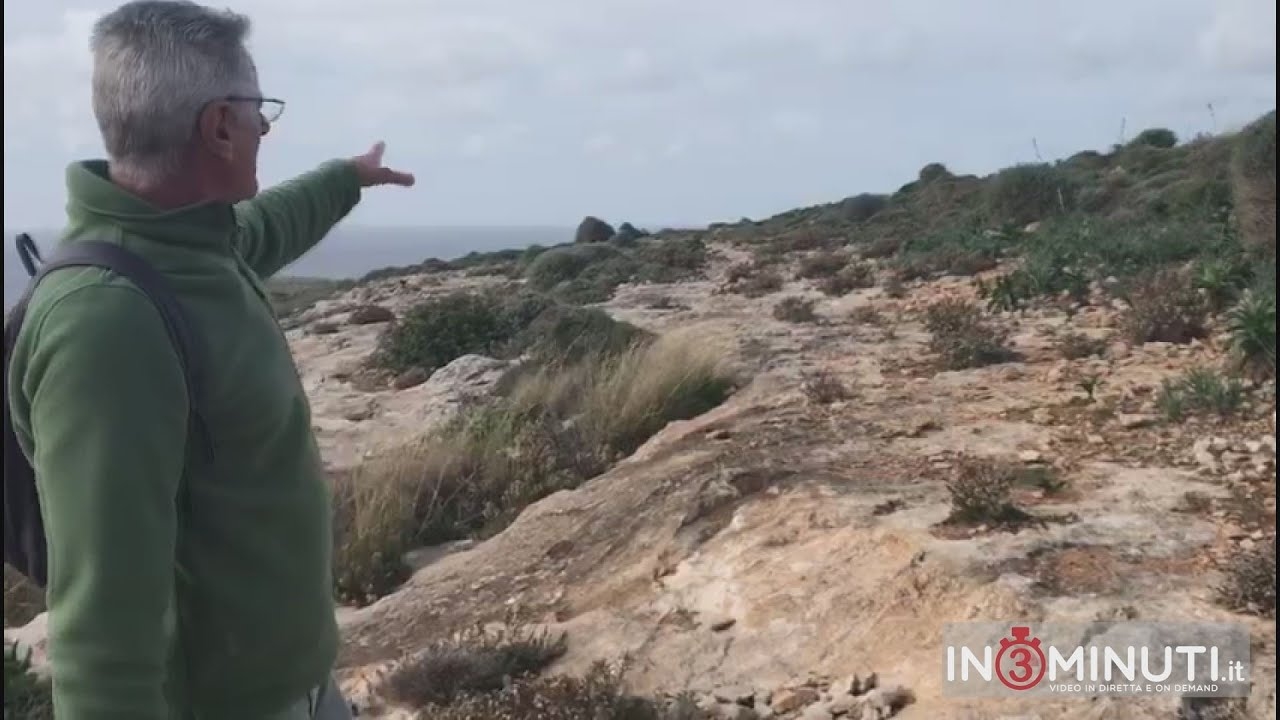 A Lampedusa, nei pressi della meravigliosa Isola dei Conigli, ci sono incisioni molto particolari 📽