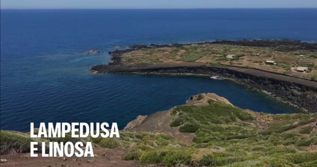Lampedusa e Linosa, Due perle nel Mediterraneo, simili ma diverse, VIDEO 📽 di M.Rita Savitteri