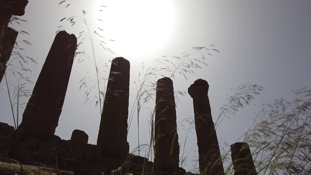 Due mesi di lockdown … e la Natura si è ripresa la Valle dei Templi di Agrigento Video🎥