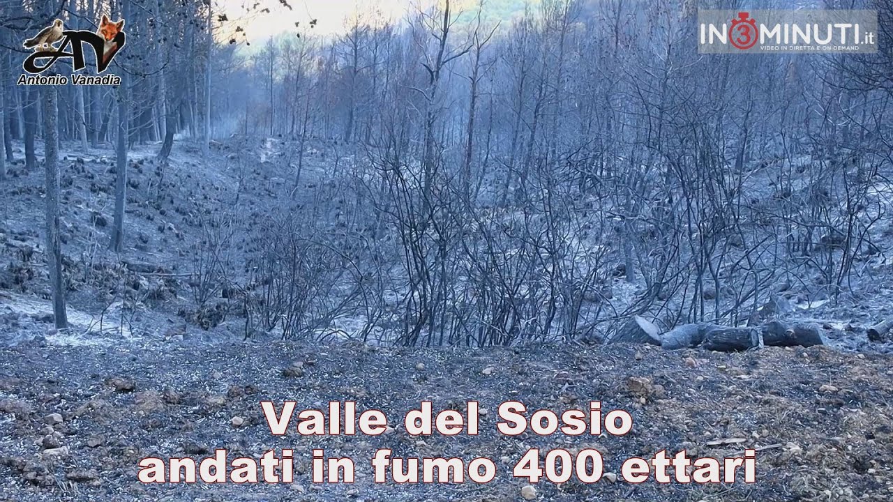 Valle del Sosio: andati in fumo 400 ettari, ascoltiamo il naturalista Antonio Vanadia 📹video