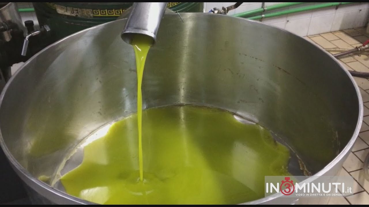 “poca quantità di olive, manca il 30% di prodotto” Alfonso Failla al microfono di Lavinia Napoli