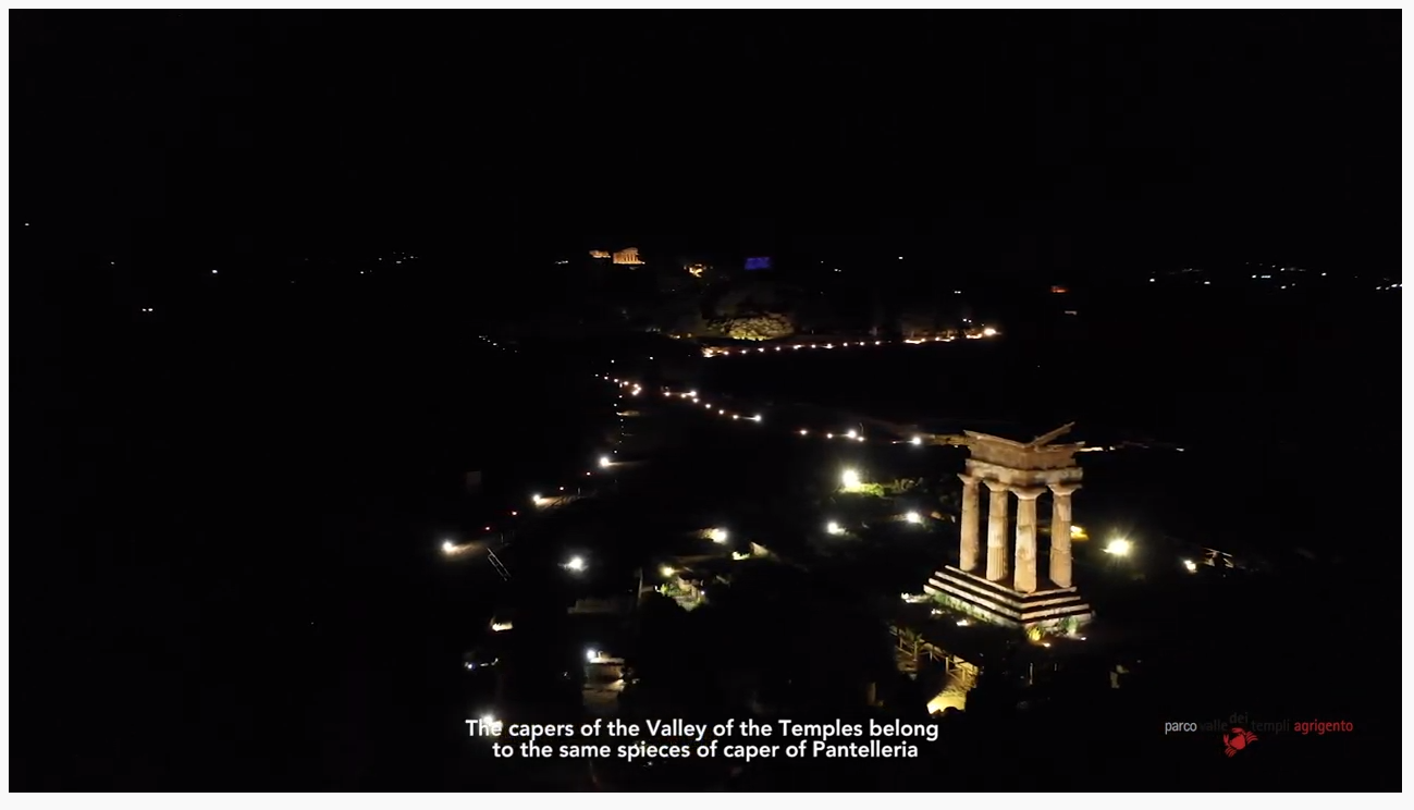 🎥Progetto Diodoros Food Exhibition ideato da CoopCulture in collaborazione con Parco Valle dei Templi…oggi “capperi”