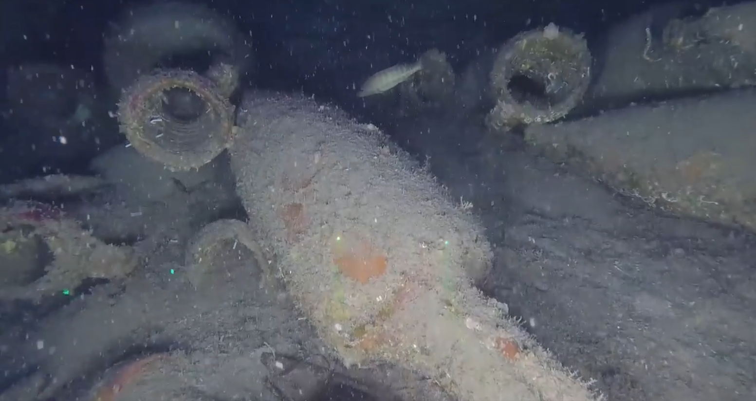 📽 Isola delle Femmine, relitto romano del II secolo a.C., giacente a 92 metri di profondità individuato nelle scorse ore durante una ricognizione effettuata dal personale della Soprintendenza del Mare della Regione Siciliana a bordo della nave oceanografica Calypso South dell’Arpa Sicilia