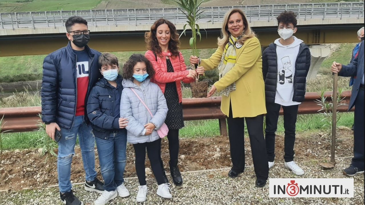 Festa dell’Albero, 50 piante messe a dimora nei pressi della stele del Beato Rosario Livatino