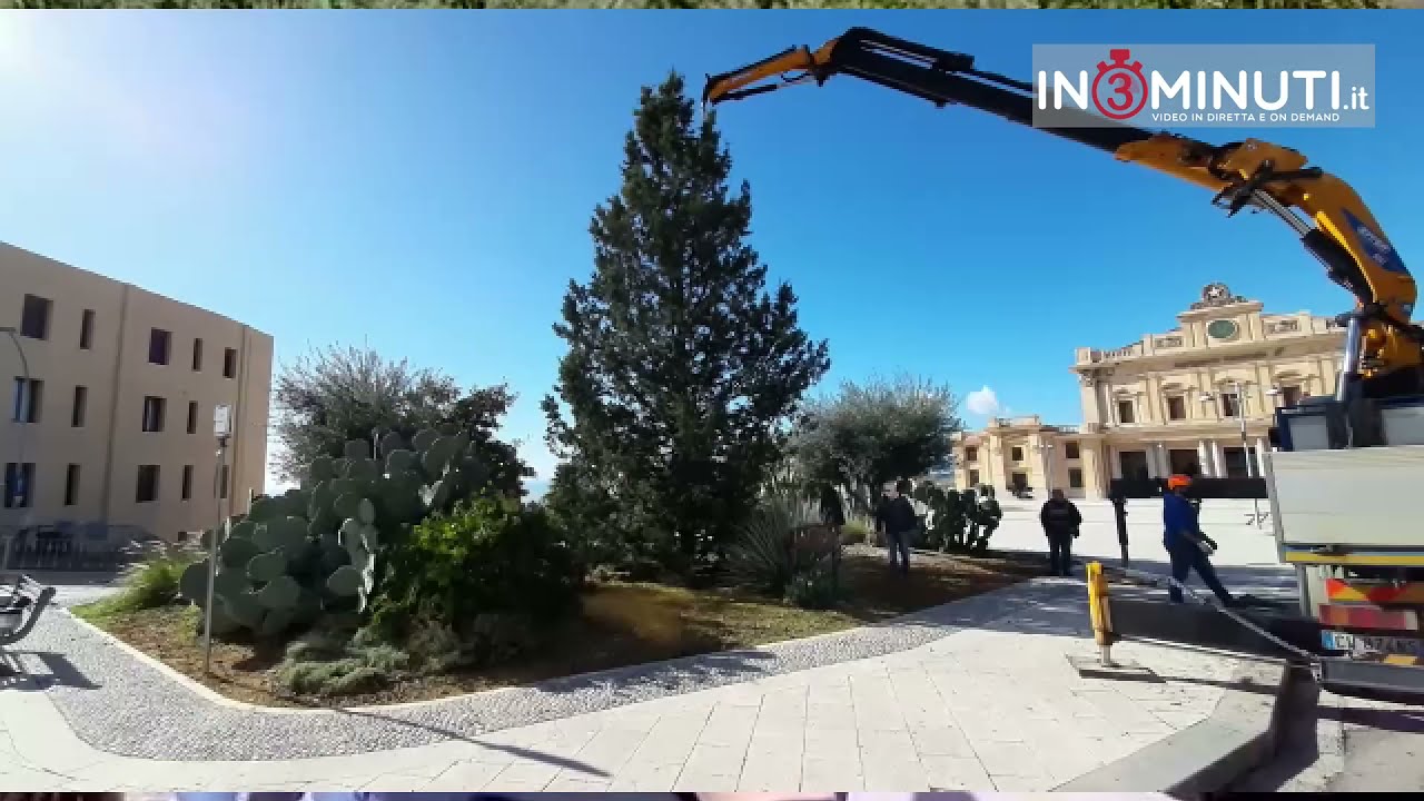 E’ arrivato l’albero di Natale in piazza Stazione