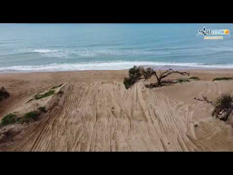 🌳Abbattuti alberi lungo il viale delle Dune!!! DRONE MAREAMICO