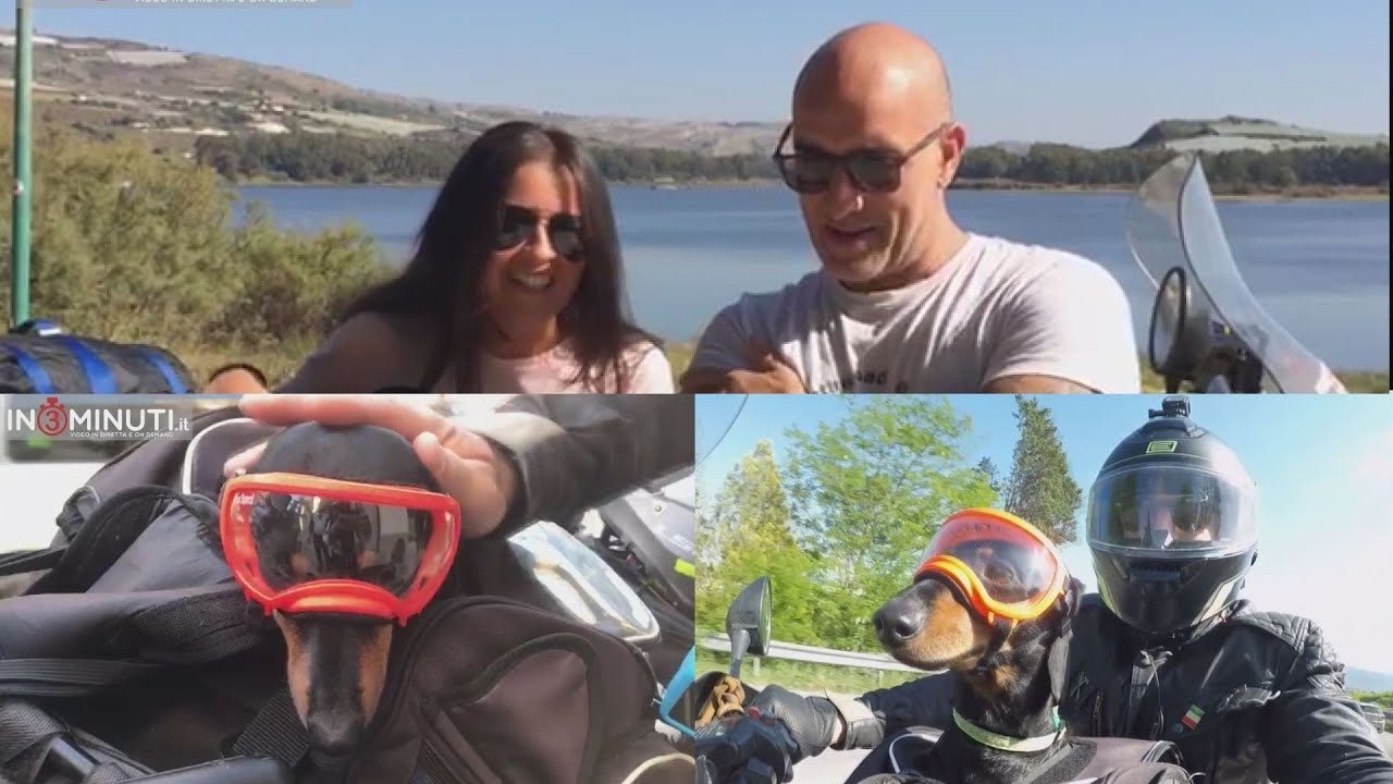 “Il mio cane viaggia con me” il viaggio in moto di Cosimo Pintore & il bassotto Zita