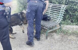 SERVIZIO COORDINATO DEI CARABINIERI CON UNITÀ CINOFILE PER LA SICUREZZA DEI CITTADINI