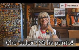 …dica 34″ di e con Simona Carisi, Che “culex”! Mi ha punto!! (Video 9)