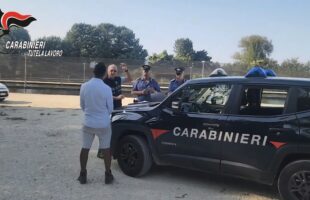CAMPAGNA DI CONTROLLI DEI CARABINIERI NEL LAVORO IN AGRICOLTURA