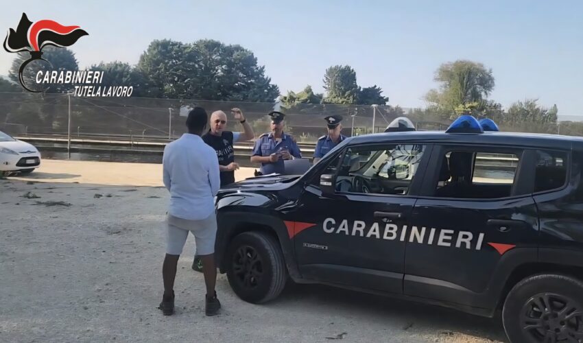 CAMPAGNA DI CONTROLLI DEI CARABINIERI NEL LAVORO IN AGRICOLTURA