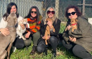 Missione Zampa: la nuova voce animalista di Canicattì chiede aiuto