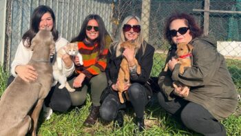 Missione Zampa: la nuova voce animalista di Canicattì chiede aiuto