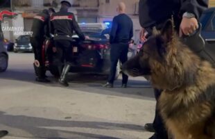 CONTROLLI DEI CARABINIERI NEL CENTRO CITTADINO: VERO E CONAN FIUTANO LA DROGA E SCATTANO LE SANZIONI