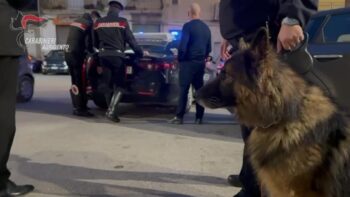 CONTROLLI DEI CARABINIERI NEL CENTRO CITTADINO: VERO E CONAN FIUTANO LA DROGA E SCATTANO LE SANZIONI