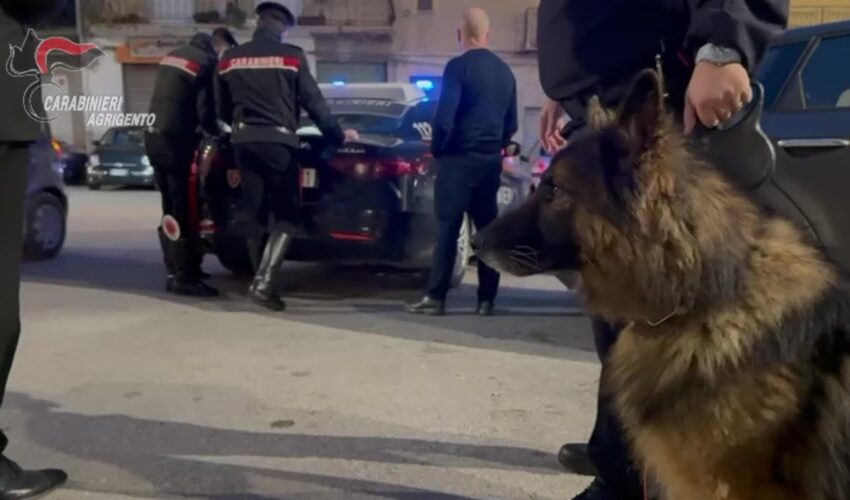 CONTROLLI DEI CARABINIERI NEL CENTRO CITTADINO: VERO E CONAN FIUTANO LA DROGA E SCATTANO LE SANZIONI