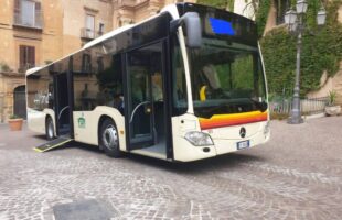 Mandorlo in fiore, domenica navette gratute