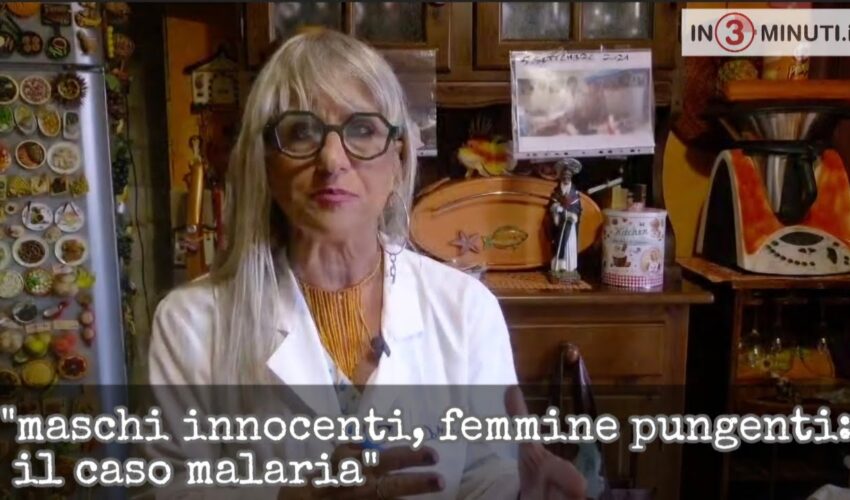 “maschi innocenti, femmine pungenti: il caso malaria”  “…dica 34” di e con Simona Carisi